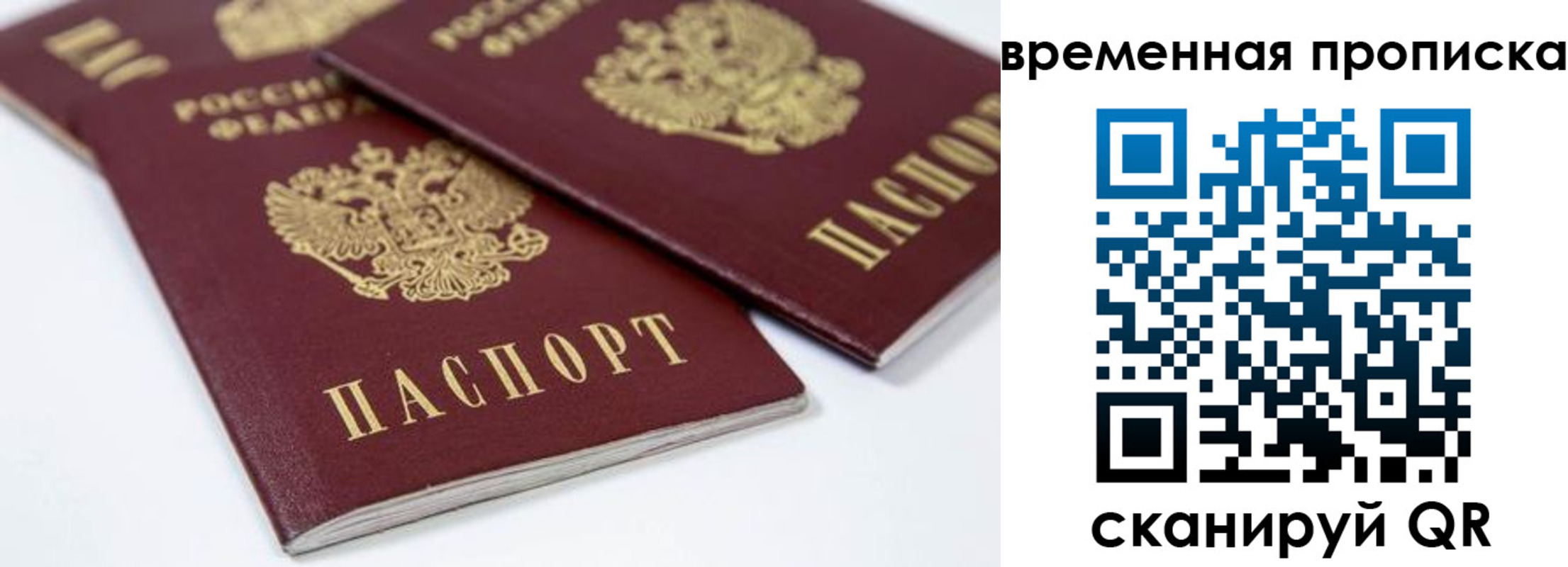 прописка для школы в Дятьково
